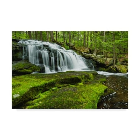 Michael Blanchette Photography 'Spring At Tucker Brook' Canvas Art,22x32